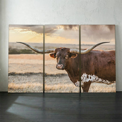 Longhorn Artwork Extra Large Canvas Triptych 48" x 72" (3 @ 24" x 48") Wall Art Teri James Photography
