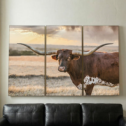 Longhorn Artwork Extra Large Canvas Triptych Wall Art Teri James Photography