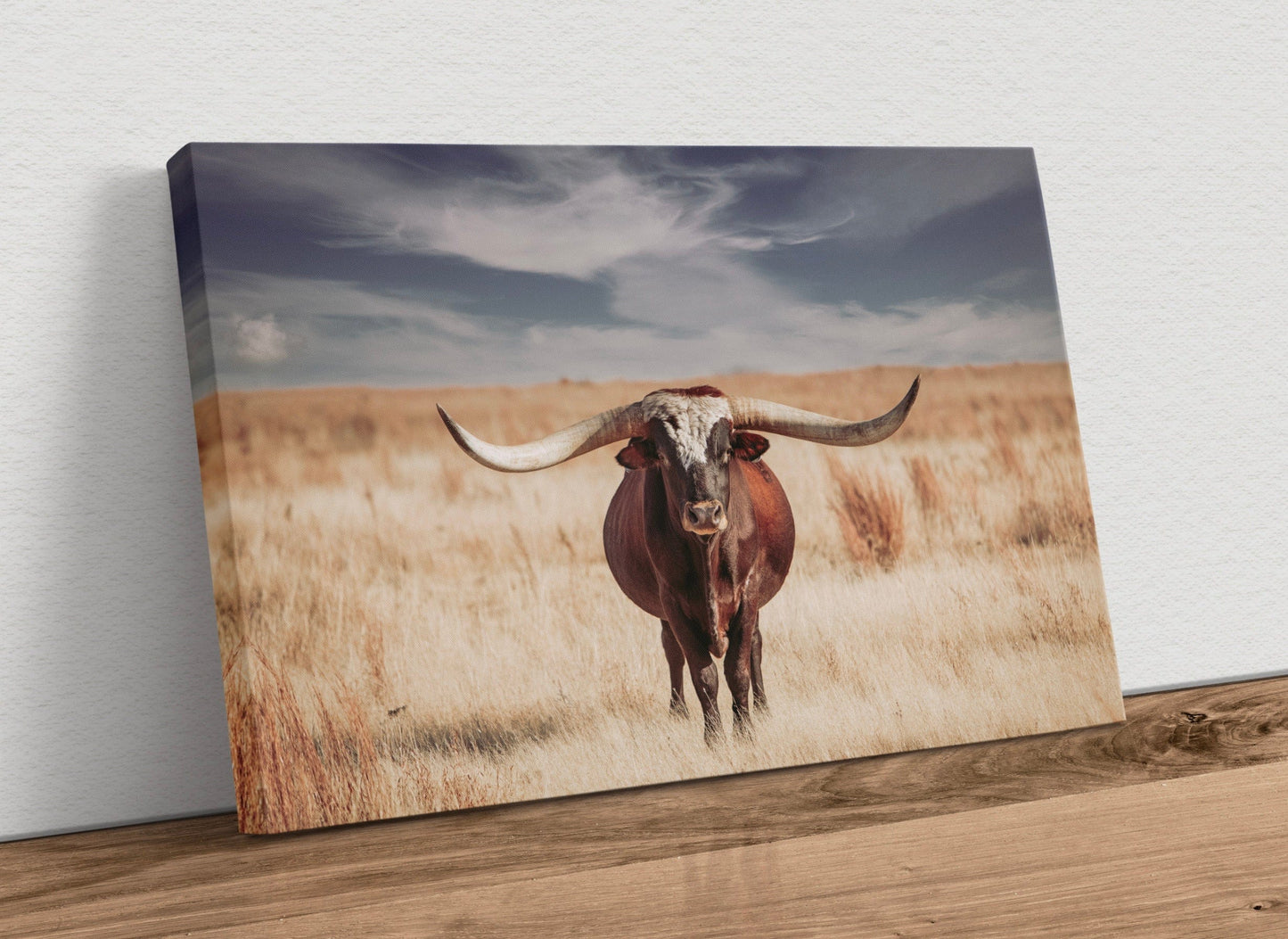 Longhorn Bull and Blue Sky Canvas Canvas-Unframed / 12 x 18 Inches Wall Art Teri James Photography