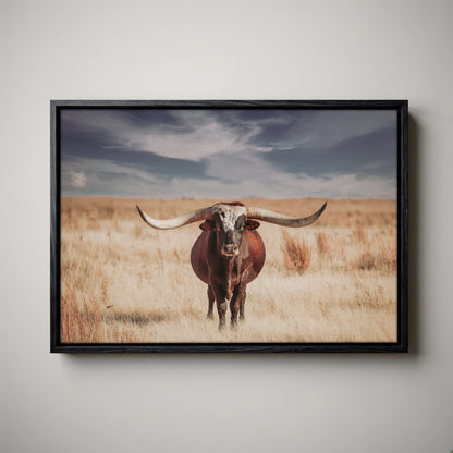 Longhorn Bull Canvas – Western Wall Art