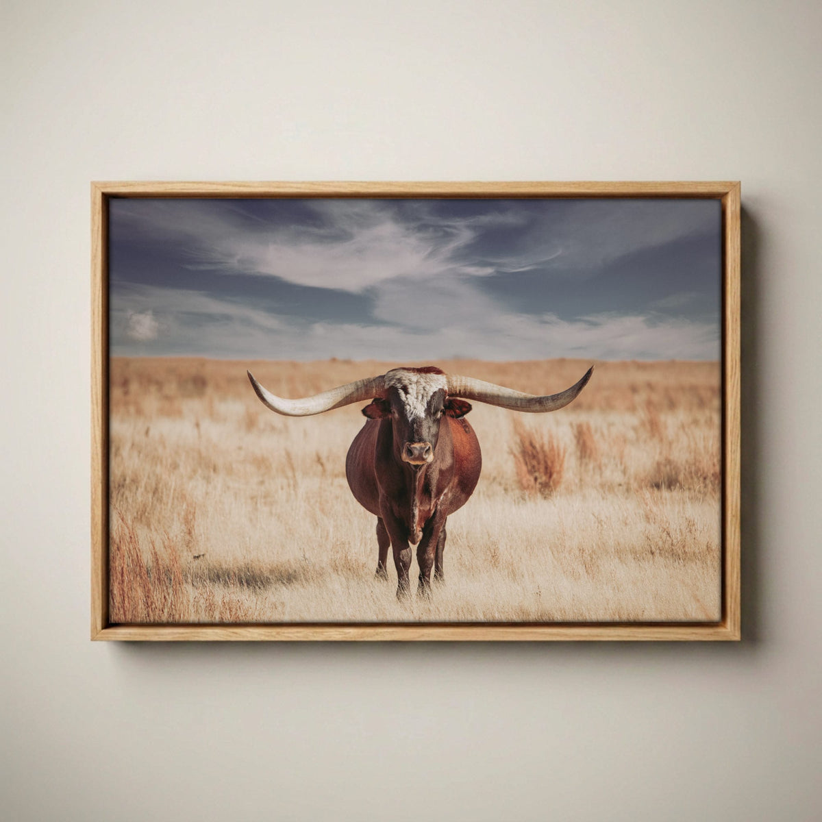 Longhorn Bull Canvas – Western Wall Art Canvas-Natural Oak Float Frame / 12 x 18 Inches