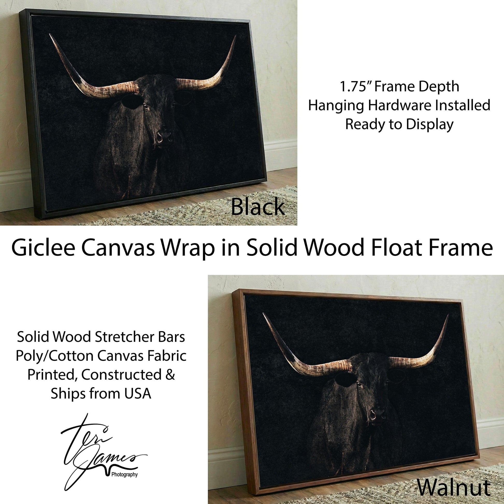 Longhorn Canvas Art – Elegant Black Western Wall Decor for Living Room Canvas-Black Frame / 12 x 18 Inches Wall Art Teri James Photography