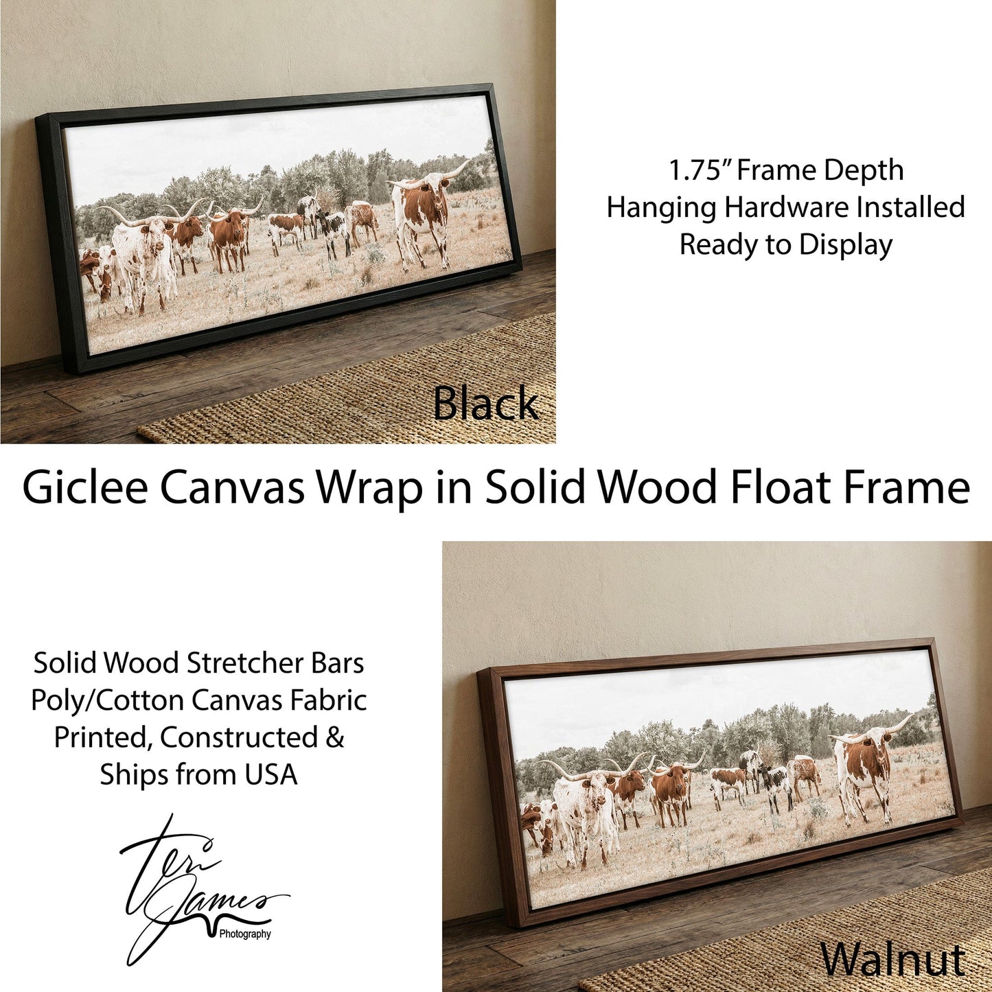 Longhorn Canvas Art – Panoramic Wall Art Featuring Texas Cattle Print Canvas-Black Frame / 12 x 36 Inches Wall Art Teri James Photography