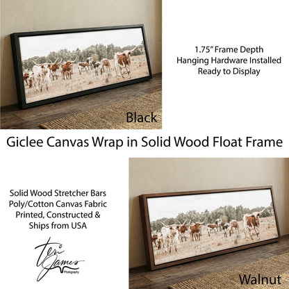 Longhorn Canvas Art – Panoramic Wall Art Featuring Texas Cattle Print Canvas-Black Frame / 12 x 36 Inches Wall Art Teri James Photography