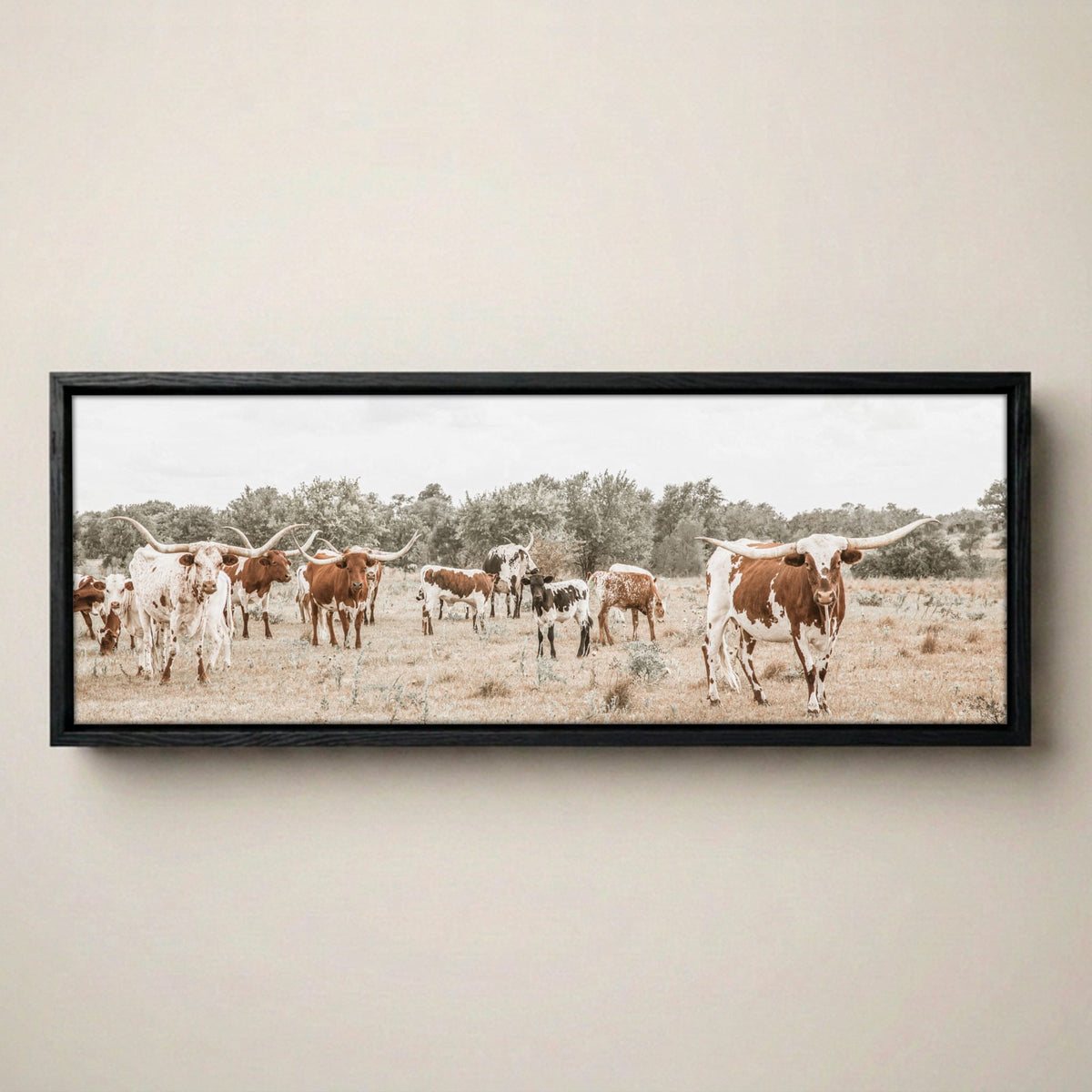 Longhorn Canvas Art – Panoramic Wall Print