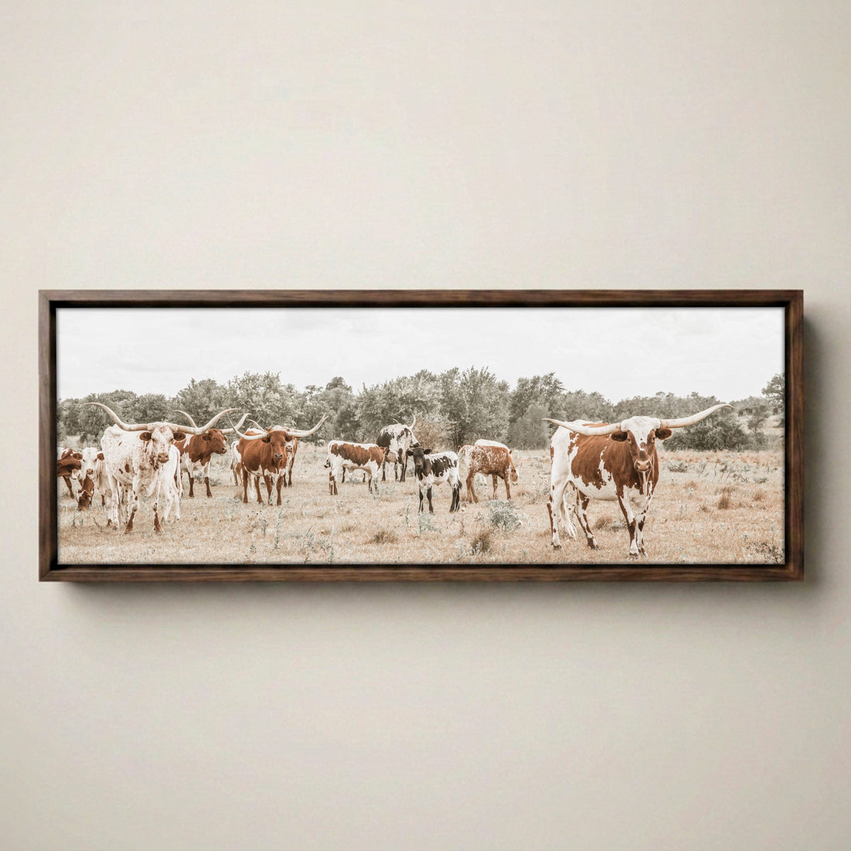Longhorn Canvas Art – Panoramic Wall Print