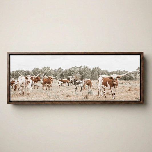 Longhorn Canvas Art – Panoramic Wall Print