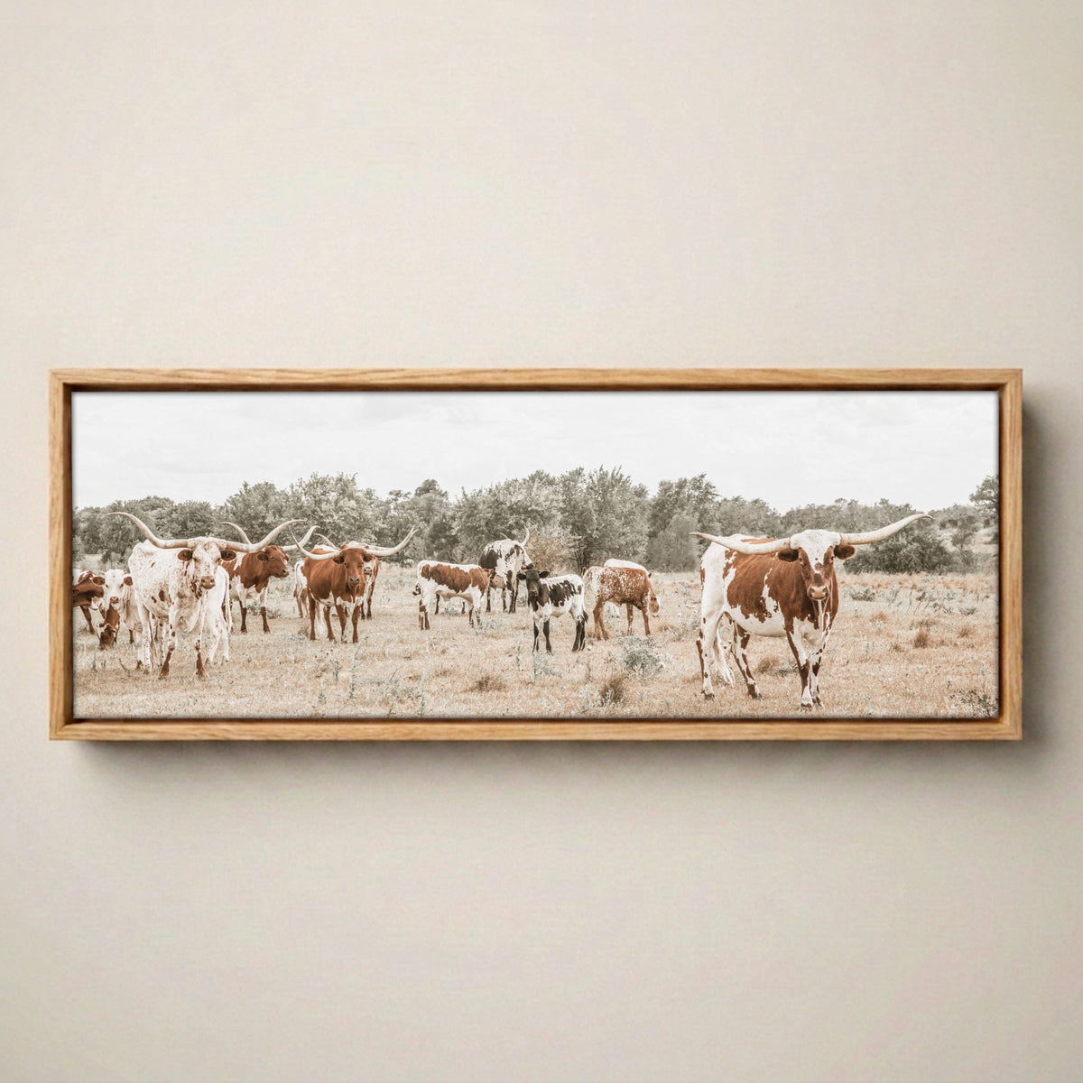 Longhorn Canvas Art – Panoramic Wall Print Canvas-Natural Oak Float Frame / 12 x 36 Inches