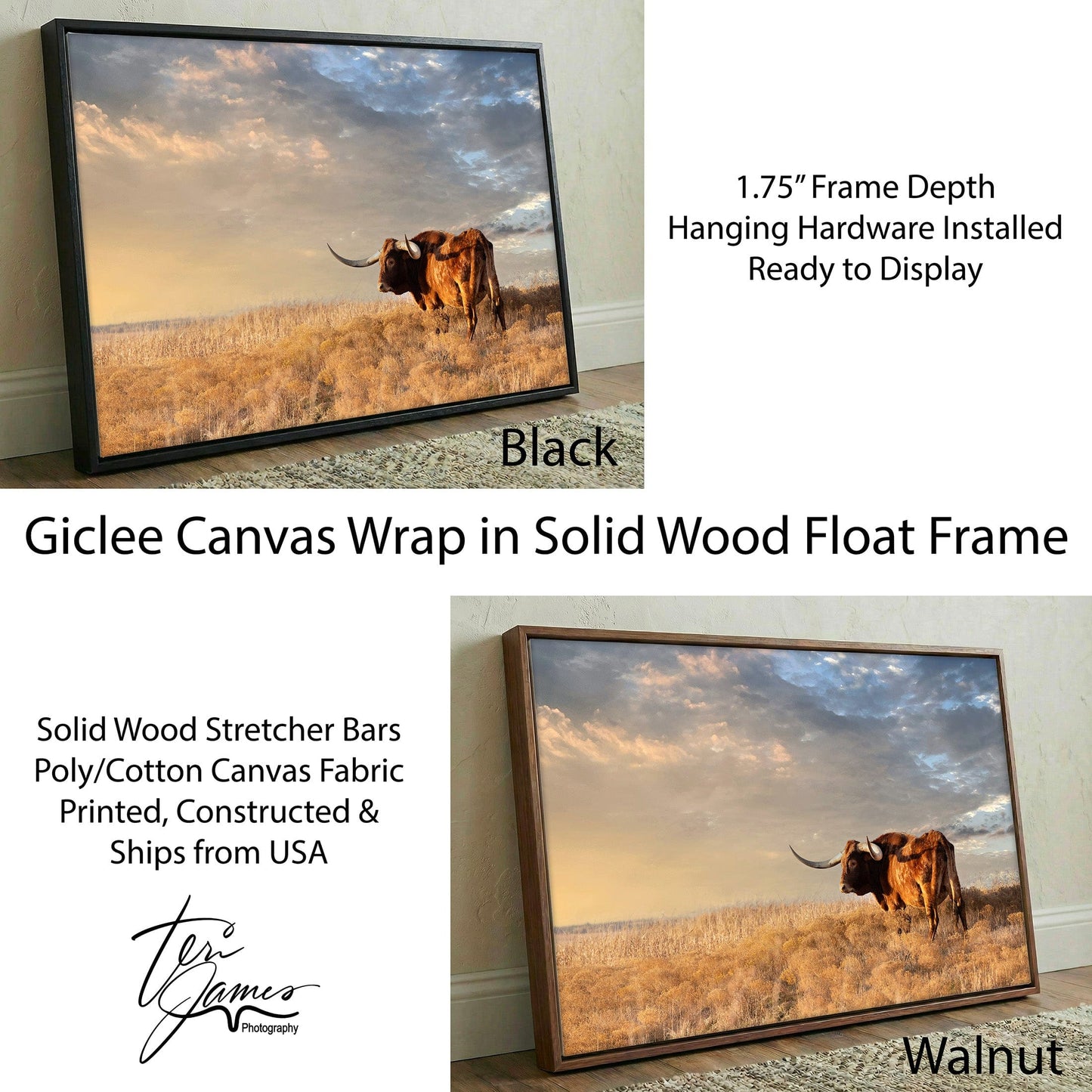 Longhorn Canvas Art - Texas Wall Decor Featuring Wild West Artwork & Bull Print Canvas-Black Frame / 12 x 18 Inches Wall Art Teri James Photography