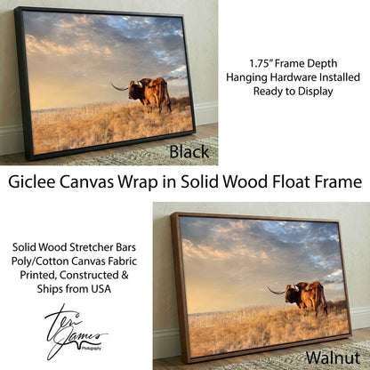 Longhorn Canvas Art - Texas Wall Decor Featuring Wild West Artwork & Bull Print Canvas-Black Frame / 12 x 18 Inches Wall Art Teri James Photography