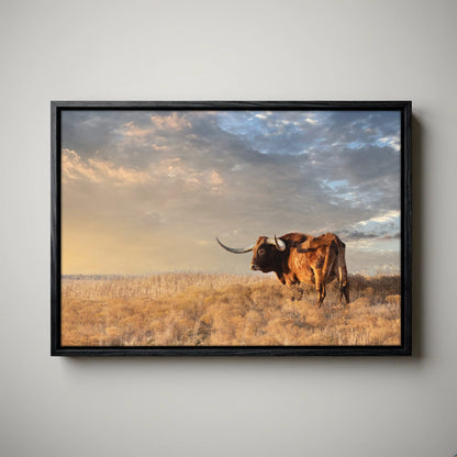 Longhorn Canvas Art - Texas Wall Decor