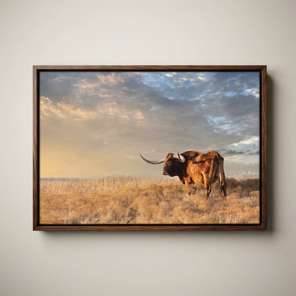 Longhorn Canvas Art - Texas Wall Decor