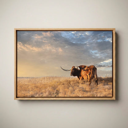 Longhorn Canvas Art - Texas Wall Decor Canvas-Natural Oak Float Frame / 12 x 18 Inches