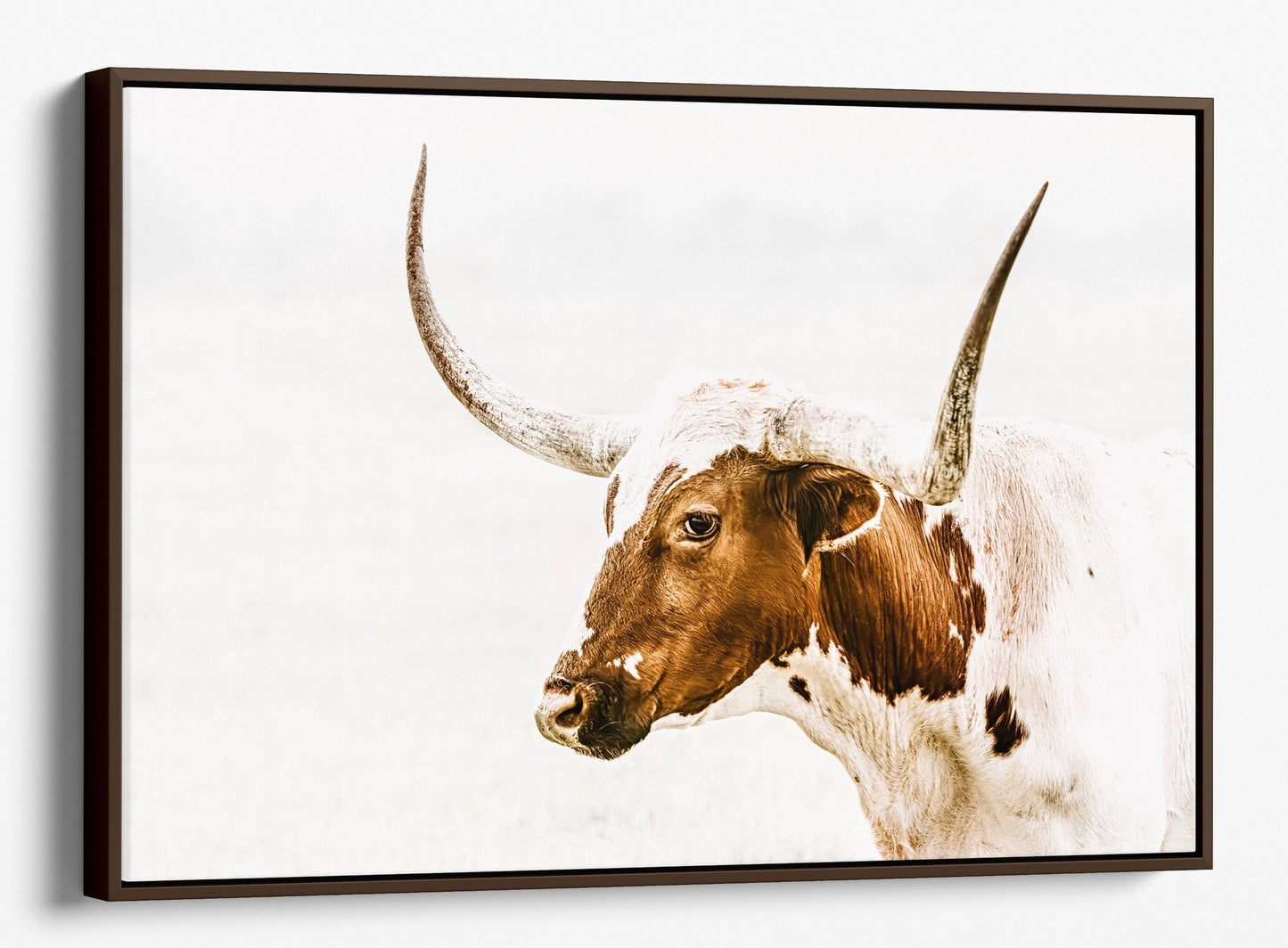 Teri James Photography Wall Art Canvas-Walnut Frame / 12 x 18 Inches Longhorn Canvas in Sepia Browns