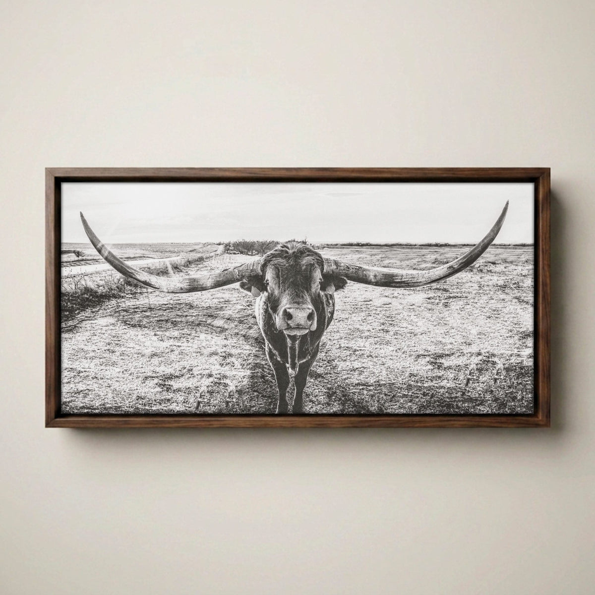 Longhorn Canvas Print – Panoramic Texas Longhorn