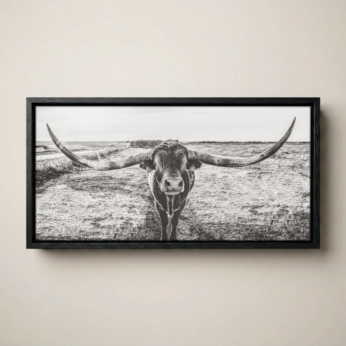 Longhorn Canvas Print – Panoramic Texas Longhorn