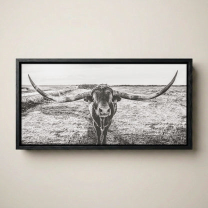 Longhorn Canvas Print – Panoramic Texas Longhorn