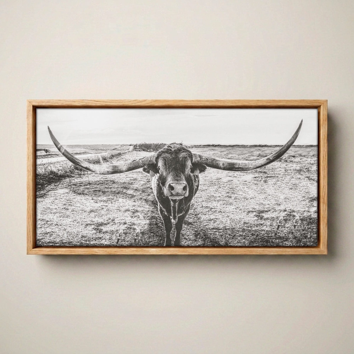 Longhorn Canvas Print – Panoramic Texas Longhorn Canvas-Natural Oak Float Frame / 10 x 20 Inches