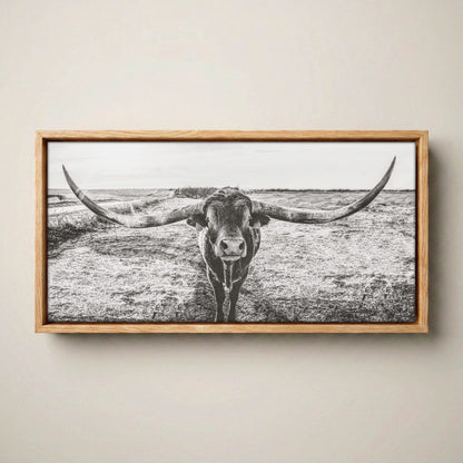 Longhorn Canvas Print – Panoramic Texas Longhorn Canvas-Natural Oak Float Frame / 10 x 20 Inches