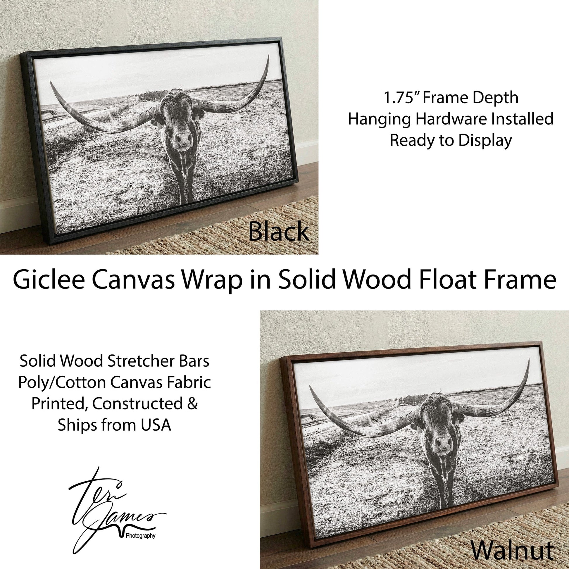 Longhorn Canvas Print – Panoramic Wall Art With Texas Longhorn Decor Canvas-Black Frame / 10 x 20 Inches Wall Art Teri James Photography