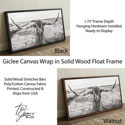 Longhorn Canvas Print – Panoramic Wall Art With Texas Longhorn Decor Canvas-Black Frame / 10 x 20 Inches Wall Art Teri James Photography