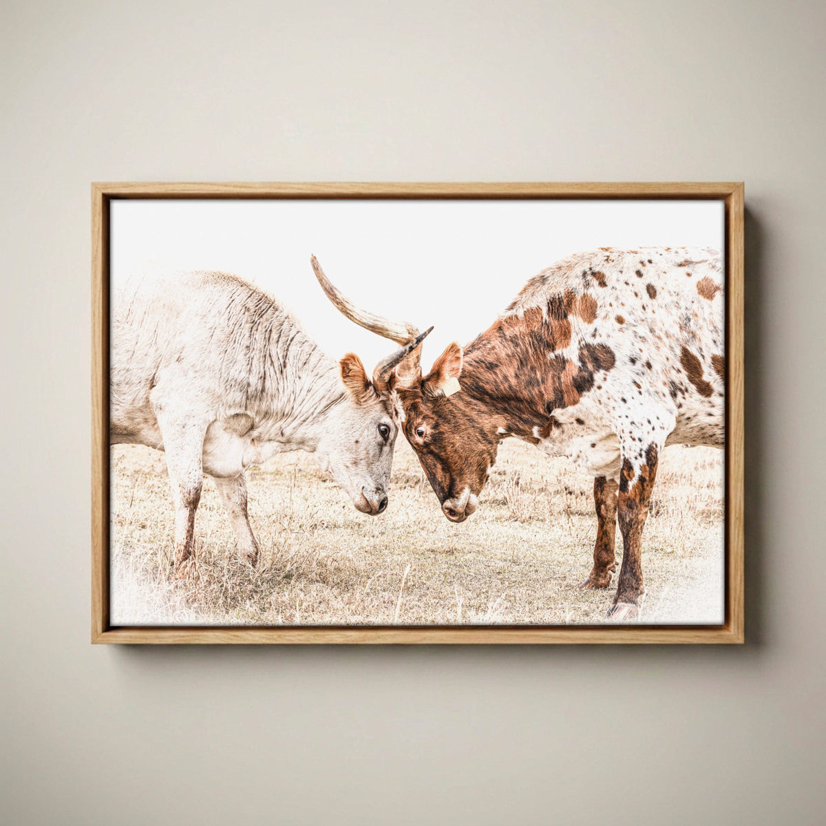 Longhorn Canvas Wall Art in Sepia Farmhouse Colors Canvas-Natural Oak Float Frame / 12 x 18 Inches