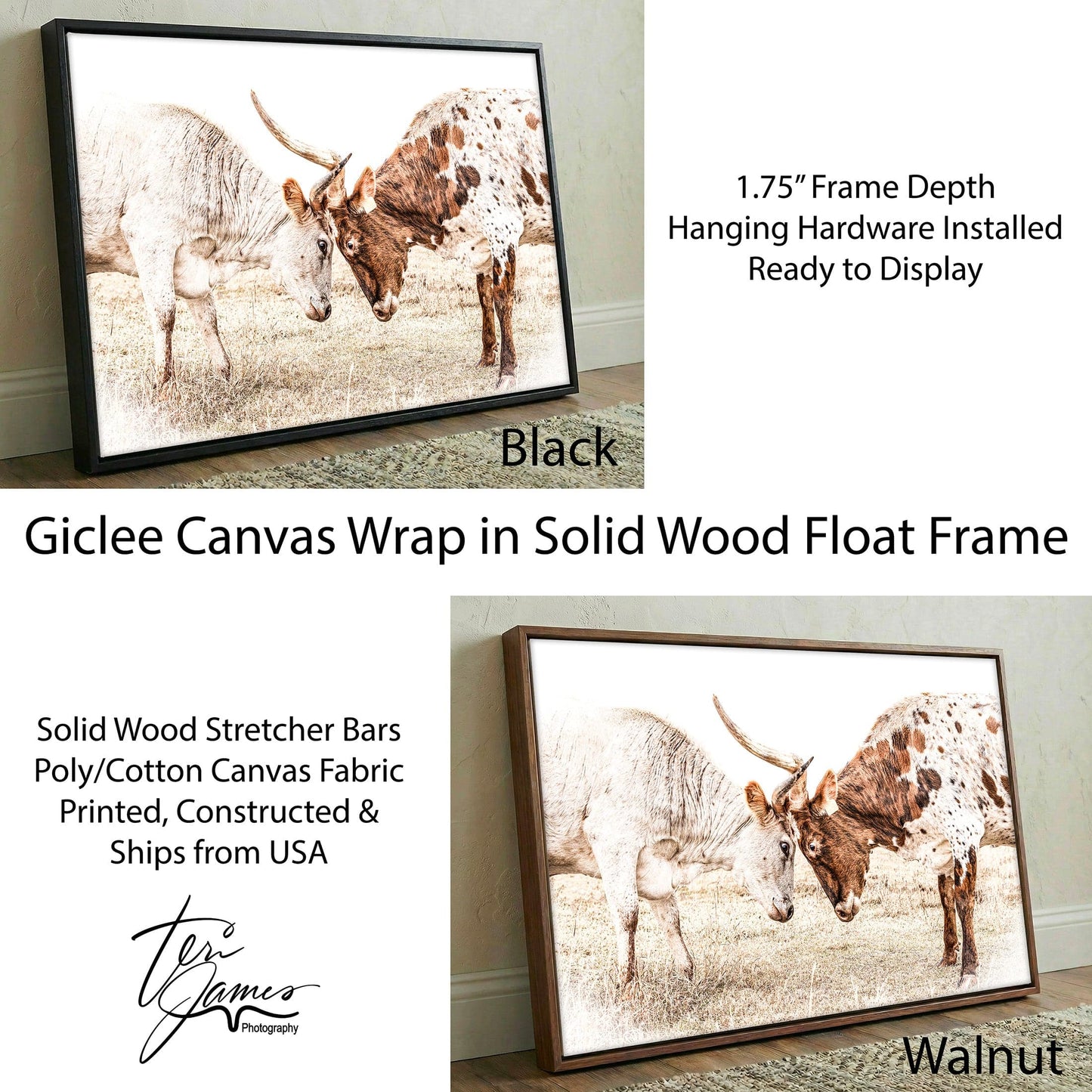 Longhorn Canvas Wall Art in Sepia Farmhouse Colors Canvas-Black Frame / 12 x 18 Inches Wall Art Teri James Photography