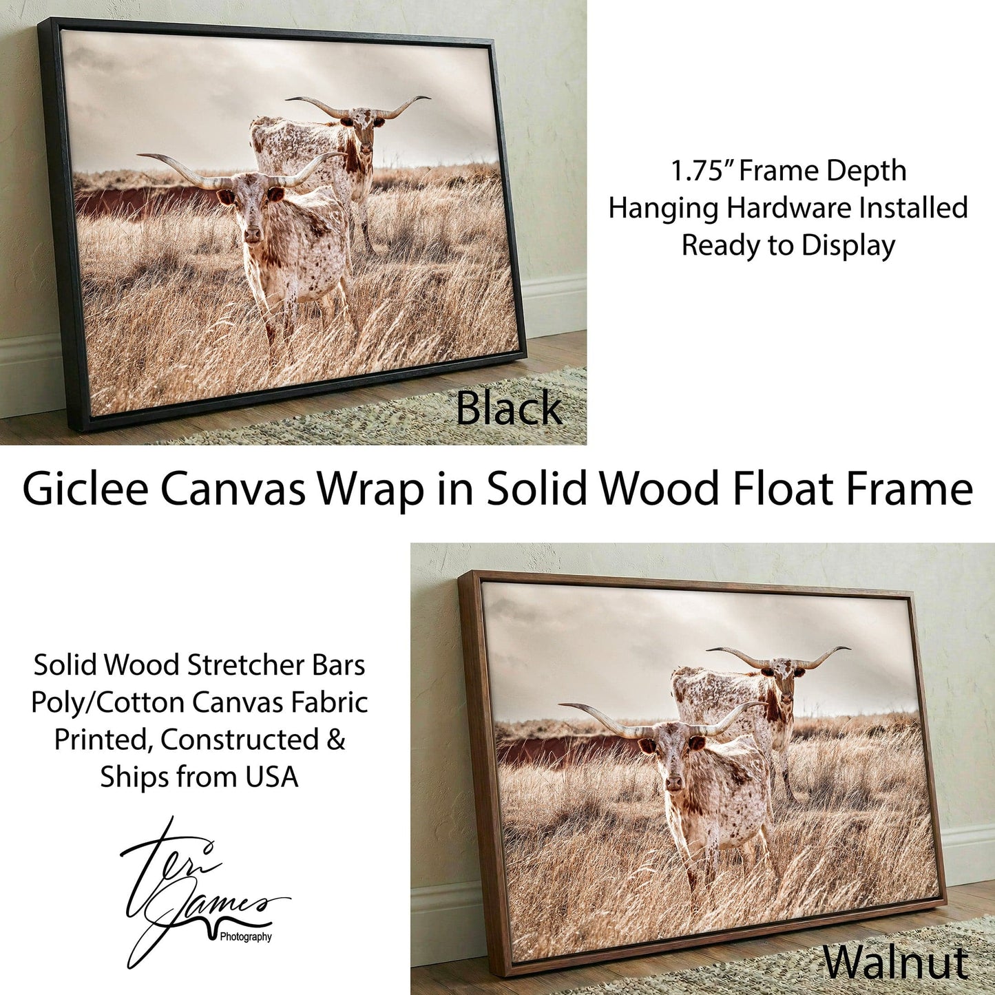 Longhorn Canvas Wall Art - Rustic Texas Longhorn Art for Western Living Room Decor Canvas-Black Frame / 12 x 18 Inches Wall Art Teri James Photography