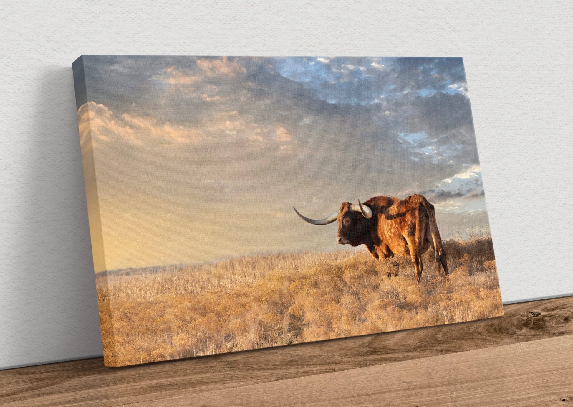 Longhorn Canvas Wall Art - Texas Longhorn Bull Canvas-Unframed / 12 x 18 Inches Wall Art Teri James Photography