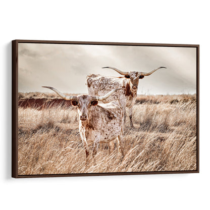 Longhorn Cattle Canvas Print Canvas-Walnut Frame / 12 x 18 Inches Wall Art Teri James Photography
