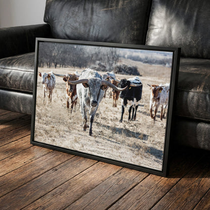 Longhorn Cattle Canvas – Texas Longhorn Art Rustic Canvas-Black Frame / 12 x 18 Inches