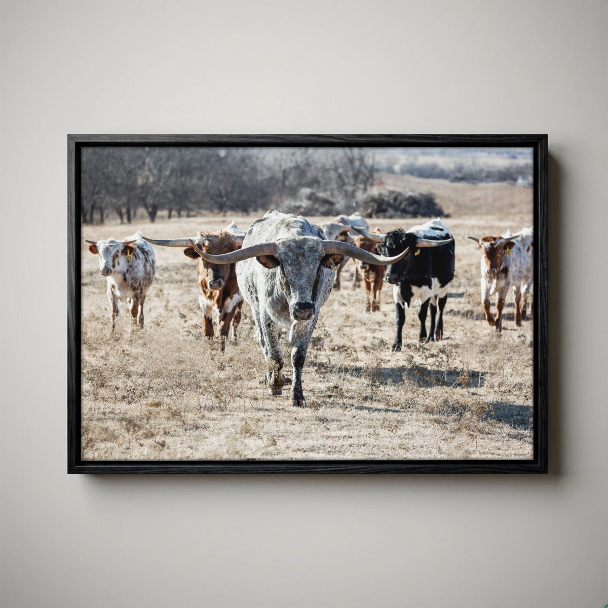 Longhorn Cattle Canvas – Texas Longhorn Art Rustic
