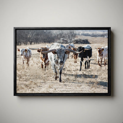 Longhorn Cattle Canvas – Texas Longhorn Art Rustic