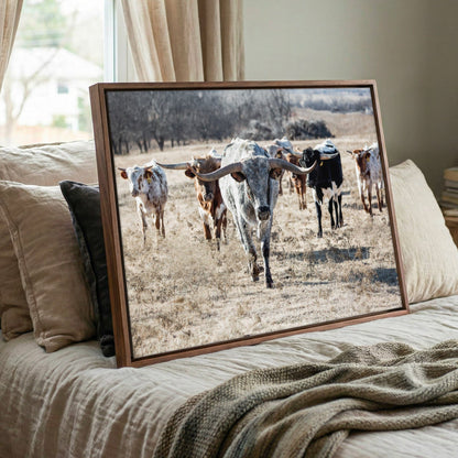 Longhorn Cattle Canvas – Texas Longhorn Art Rustic Wall Decor Print Wall Art Teri James Photography