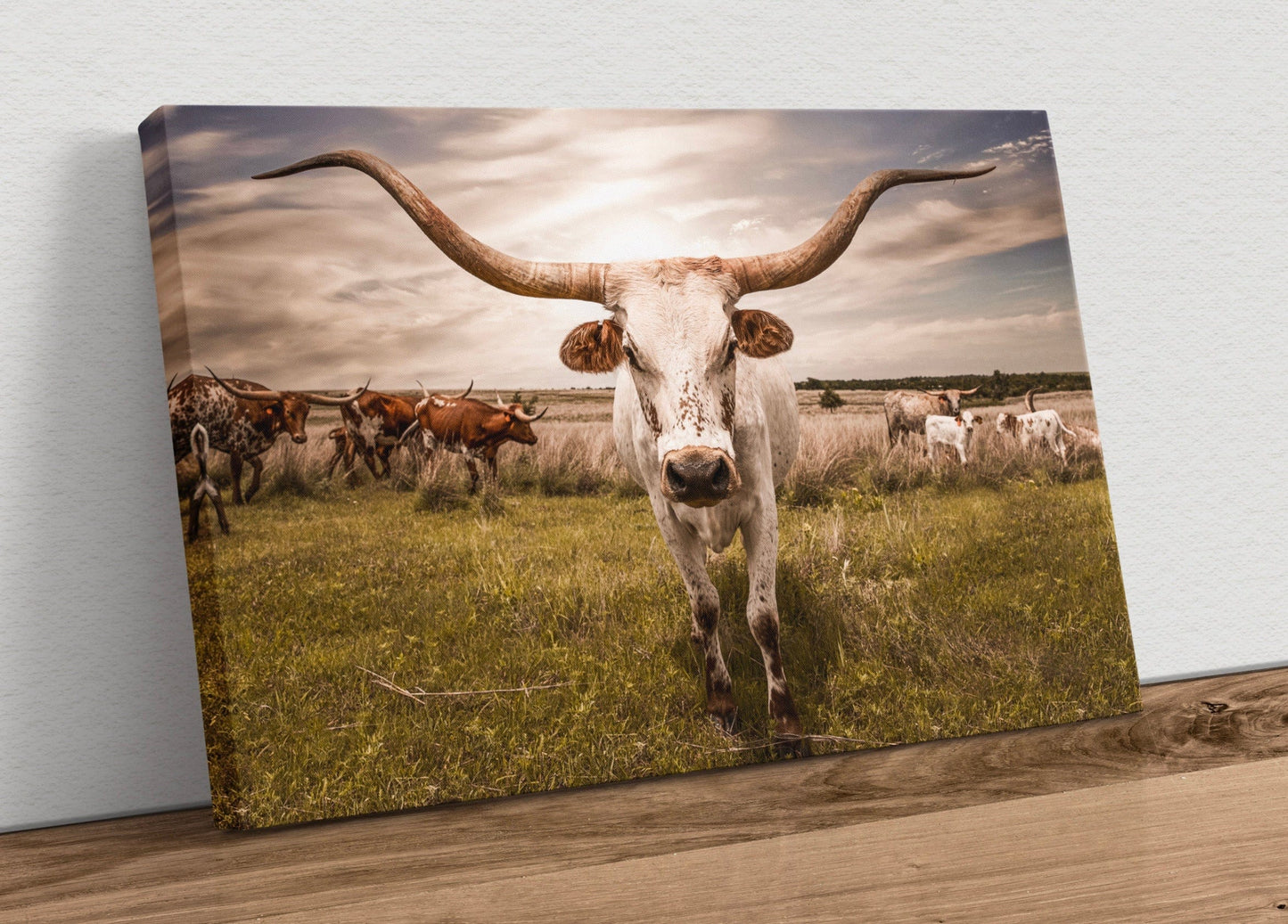 Longhorn Cow Canvas Print Wall Art Teri James Photography