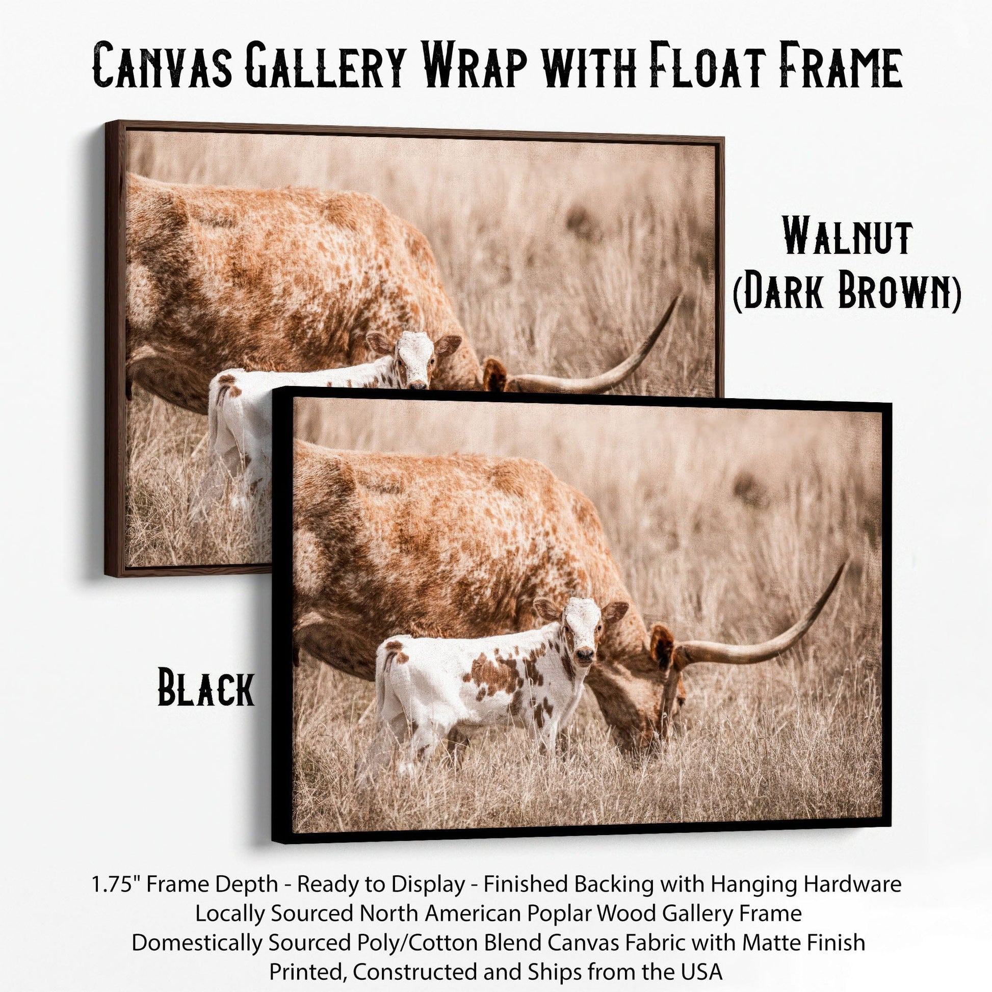 Longhorn Cow Nursery Wall Art - Longhorn Cow and Calf Canvas-Black Frame / 12 x 18 Inches Wall Art Teri James Photography