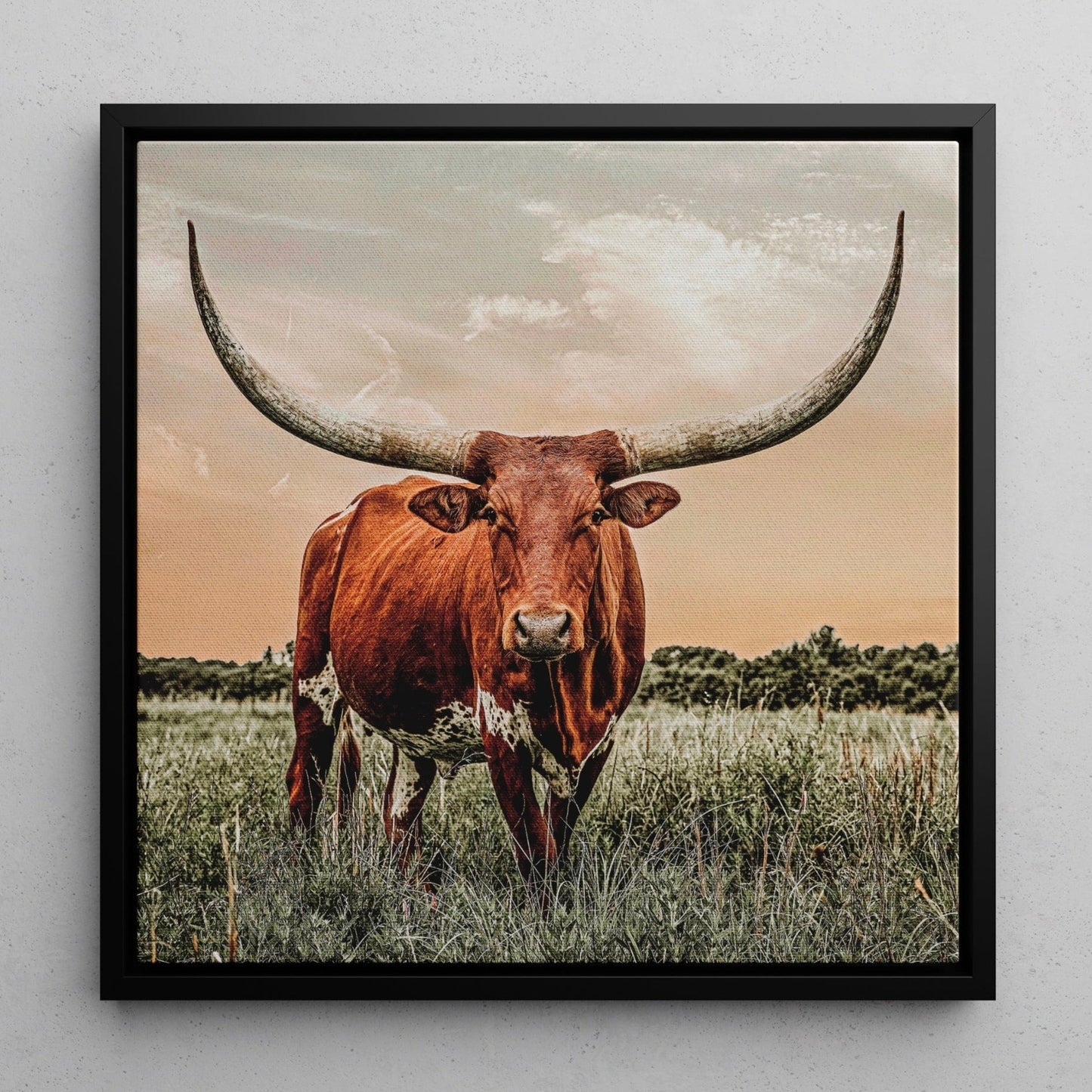Longhorn Cow Wall Art - Square Wall Art Teri James Photography