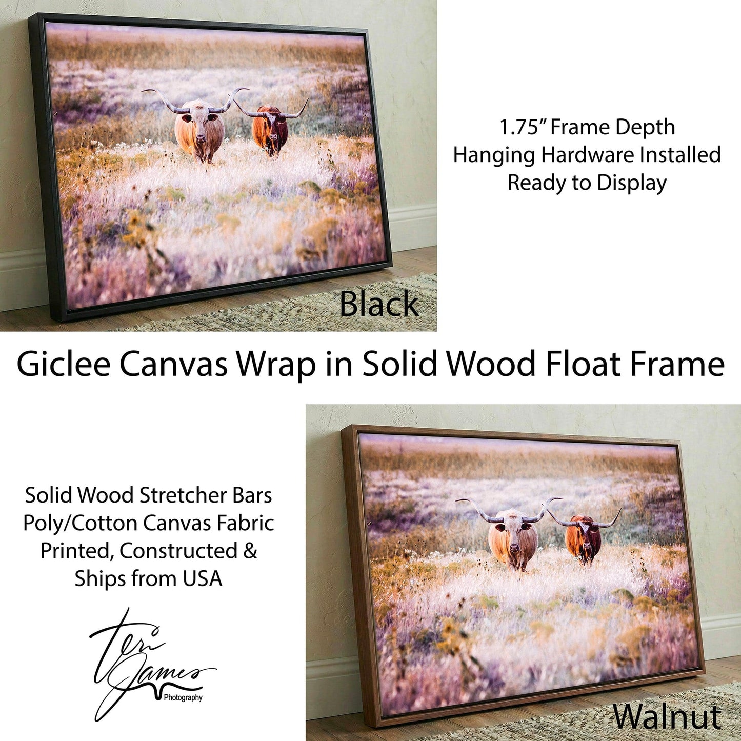 Longhorn Cows Canvas – Colorful Pasture Animal Art | Farmhouse Decor Print Canvas-Black Frame / 12 x 18 Inches Wall Art Teri James Photography