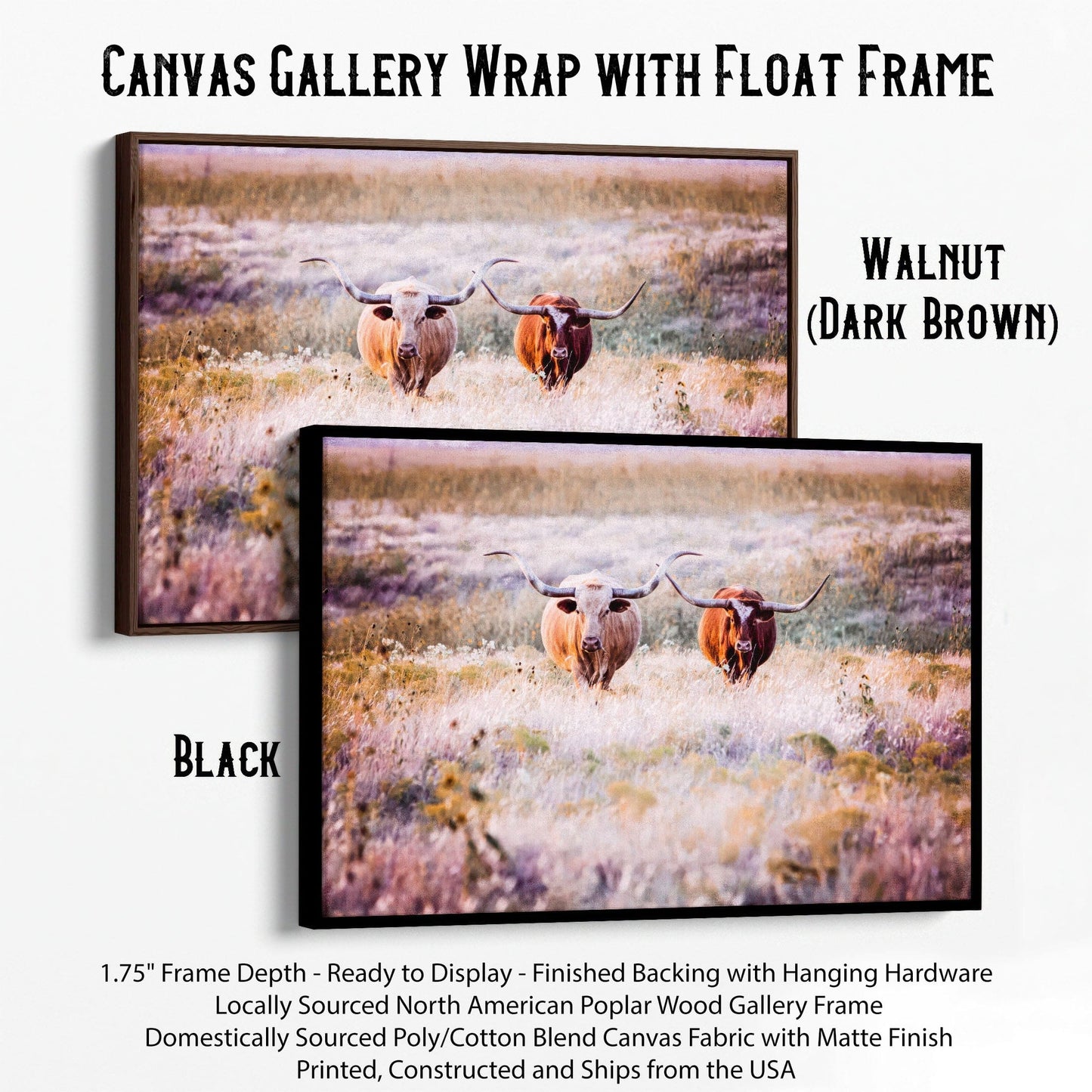 Longhorn Cows in Colorful Pasture Canvas Canvas-Black Frame / 12 x 18 Inches Wall Art Teri James Photography
