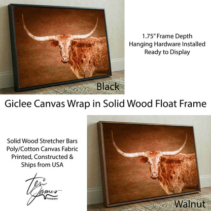 Longhorn Float Canvas - Framed Rustic Wall Art With Turquoise Accent Canvas-Black Frame / 12 x 18 Inches Wall Art Teri James Photography