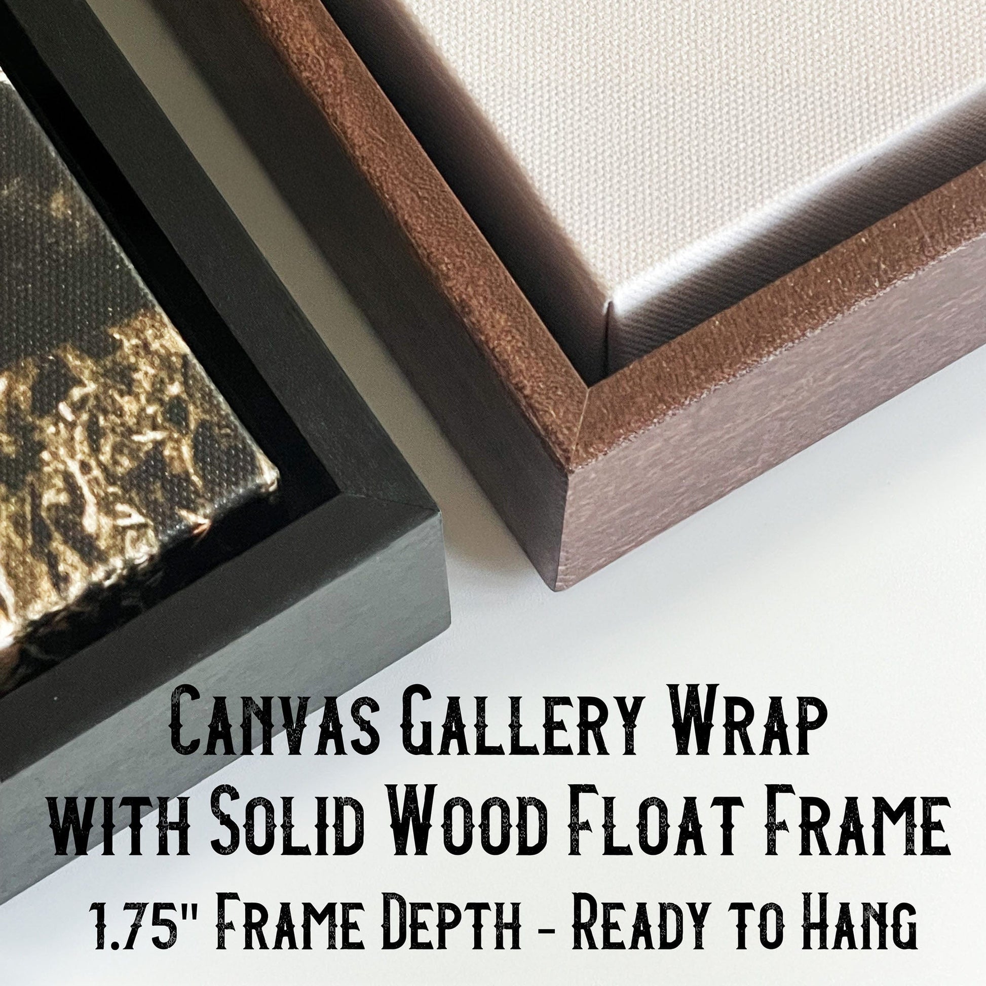 Longhorn Float Framed Canvas Wall Art Teri James Photography