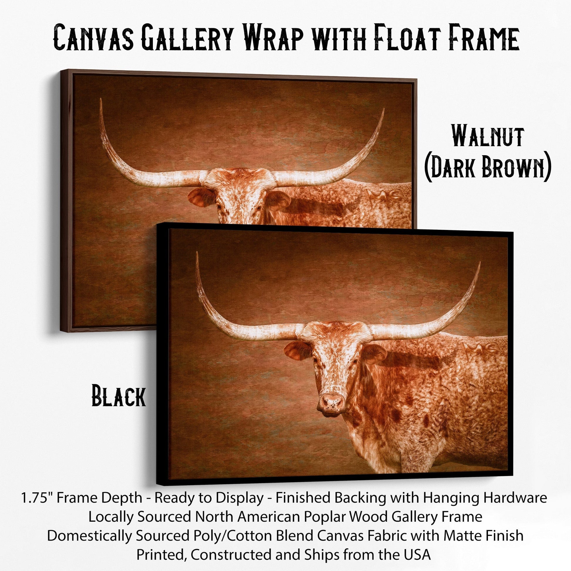Longhorn Float Framed Canvas Canvas-Black Frame / 12 x 18 Inches Wall Art Teri James Photography
