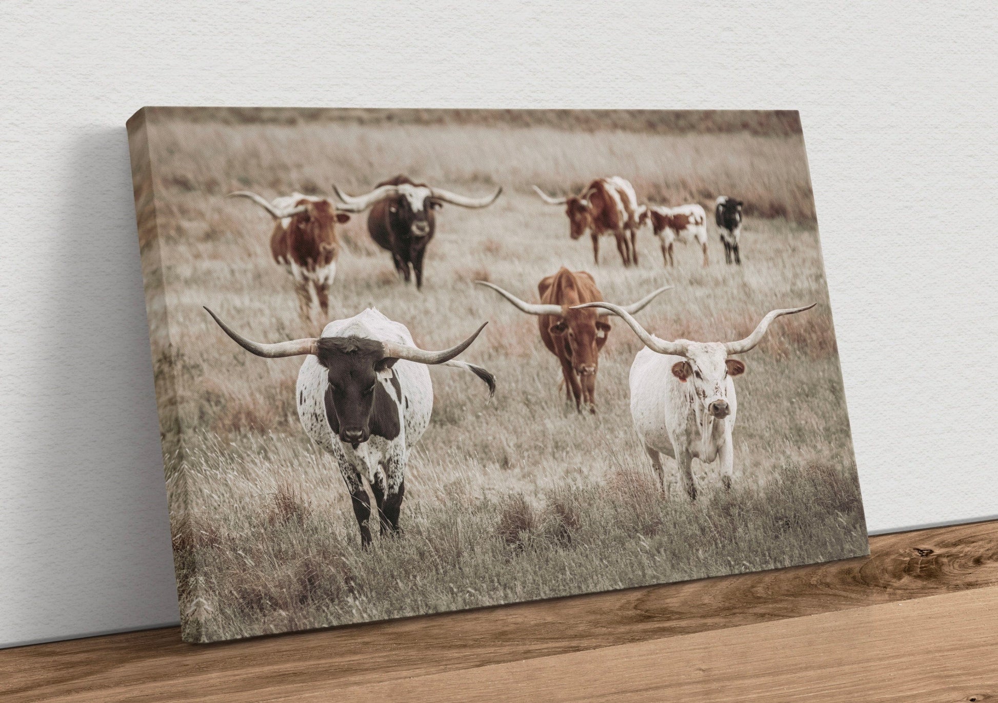 Longhorn Herd Canvas Print Canvas-Unframed / 12 x 18 Inches Wall Art Teri James Photography
