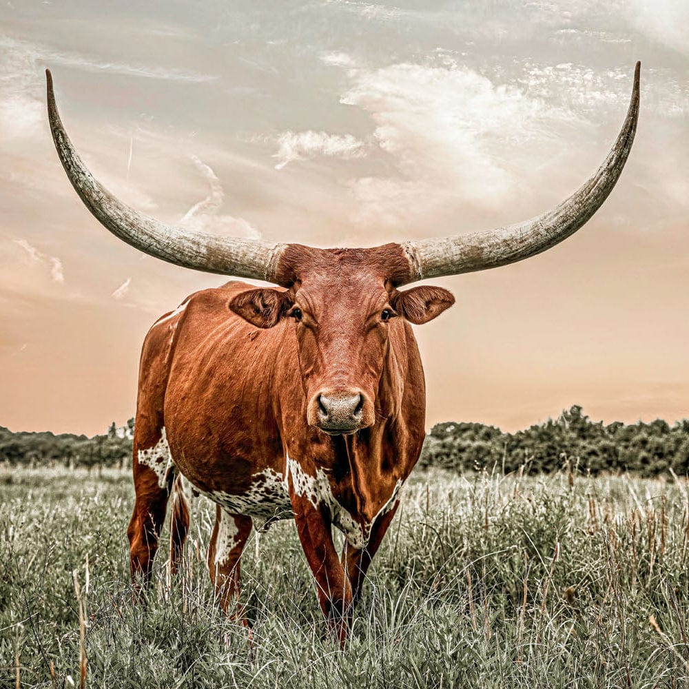 Steakhouse Longhorn Prairie Dust Walmart Wendy's Spicy Chicken