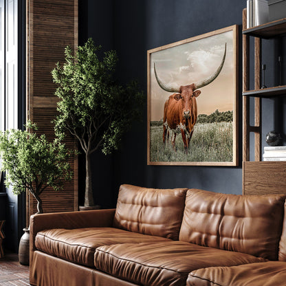 Longhorn Home Decor Artwork Wall Art Teri James Photography
