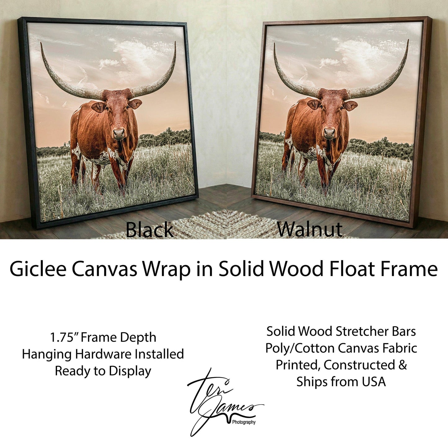Longhorn Home Decor - Southwestern Wall Art - Rustic Animal Print Canvas Canvas-Black Frame / 16 x 16 Inches Wall Art Teri James Photography