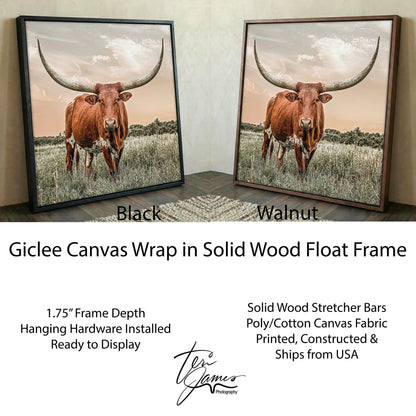 Longhorn Home Decor - Southwestern Wall Art - Rustic Animal Print Canvas Canvas-Black Frame / 16 x 16 Inches Wall Art Teri James Photography