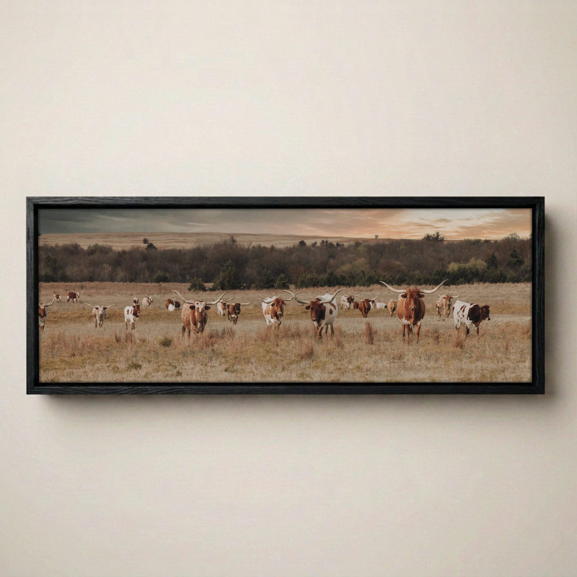 Longhorn Panorama Wall Art – Texas Ranch Wall Art