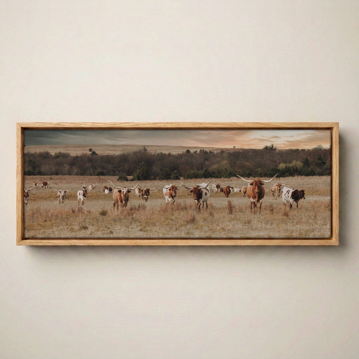 Longhorn Panorama Wall Art – Texas Ranch Wall Art Canvas-Natural Oak Float Frame / 12 x 36 Inches
