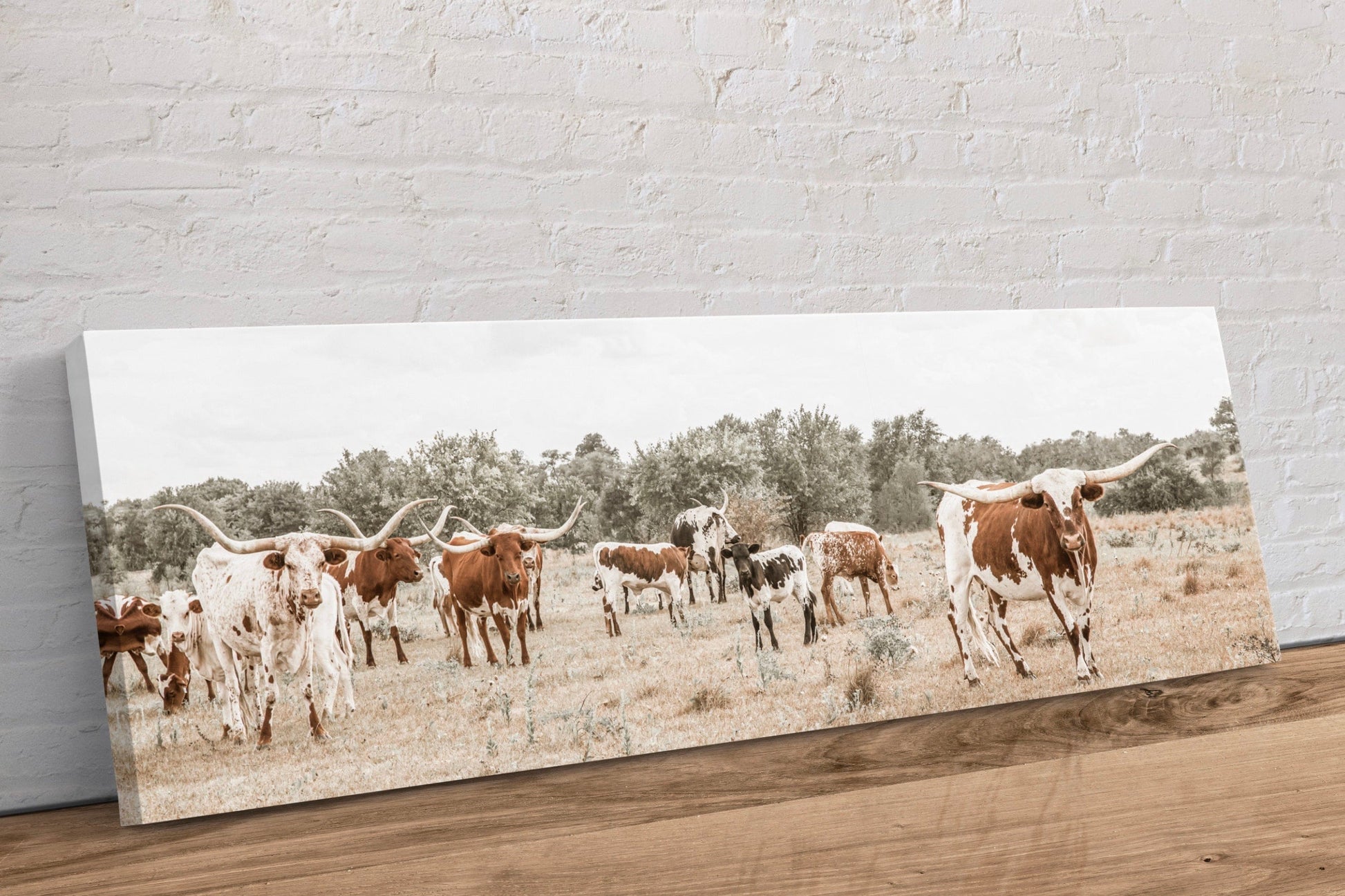 Longhorn Panoramic Canvas Wall Art Canvas-Unframed / 12 x 36 Inches Wall Art Teri James Photography